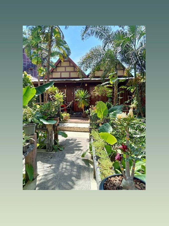 P P Garden קו פי פי