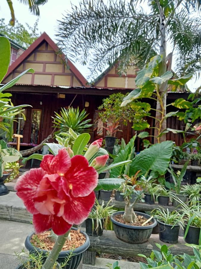 P P Garden 2*